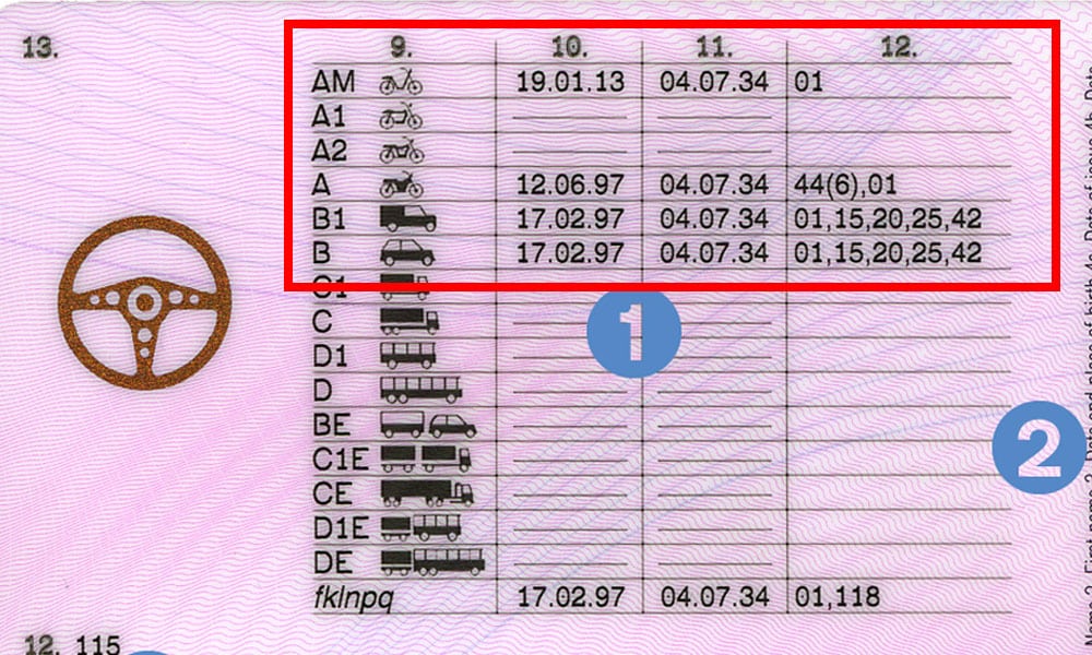 back of UK drivers licence example