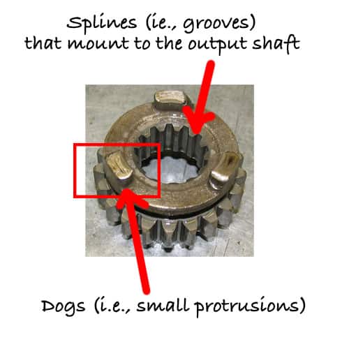 image of dog gear labelled with protrusions (i.e., small protruding blocks) and splines