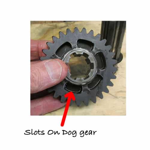image of dog gear with slots