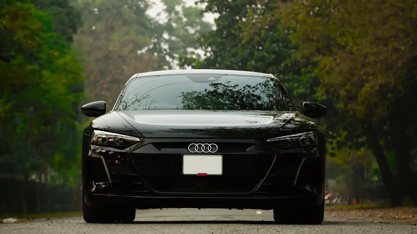 Front view of a black Audi coupe on a leafy street, showcasing luxury automotive design.
