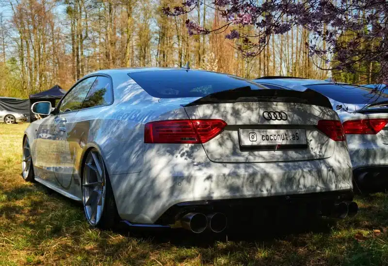 Rear view of a white Audi parked in a sunlit forest, showcasing sleek design and shiny exterior.